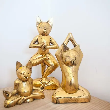 Fuerteventura Park 4 קוסטה דה אנטיגואה