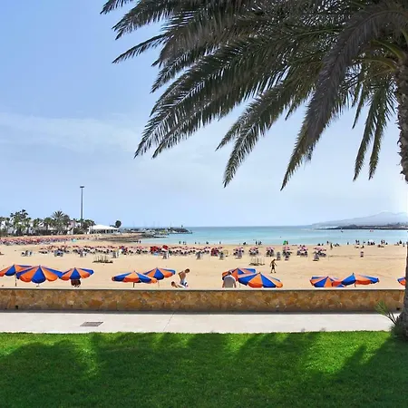 公寓 Fuerteventura Park 4