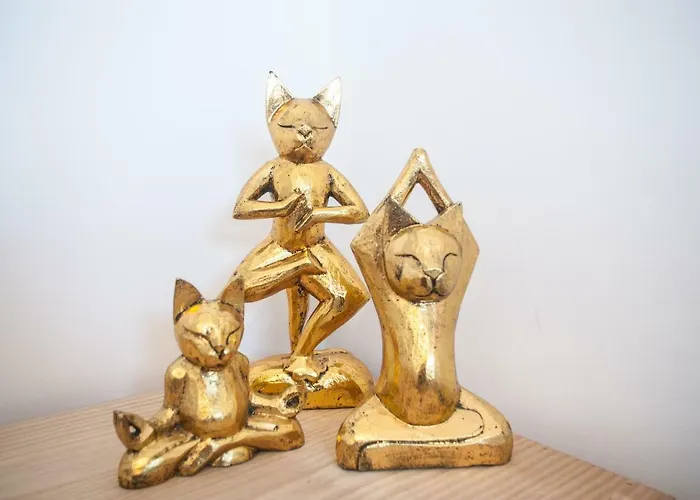 Fuerteventura Park 4 코스타 데 안티과